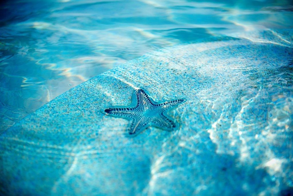 Warwick Paradise Island Bahamas (Adults Only) Nassau Dış mekan fotoğraf